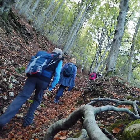 Di Lavanda Frühstückspension 3*