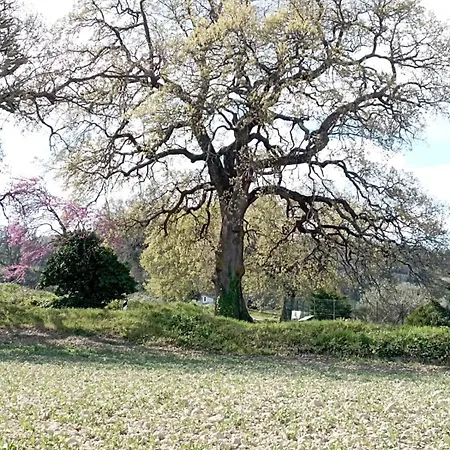 Di Lavanda Frühstückspension