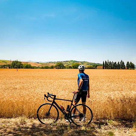 Di Lavanda Panzió Cingoli