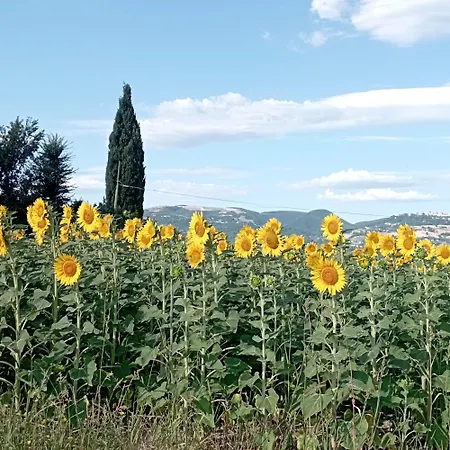 Di Lavanda 3*