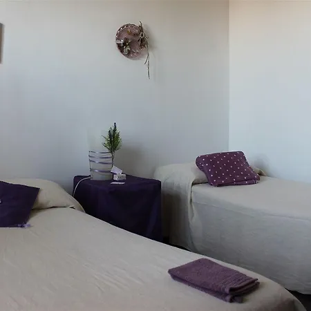 Di Lavanda Frühstückspension Cingoli