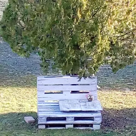 Di Lavanda