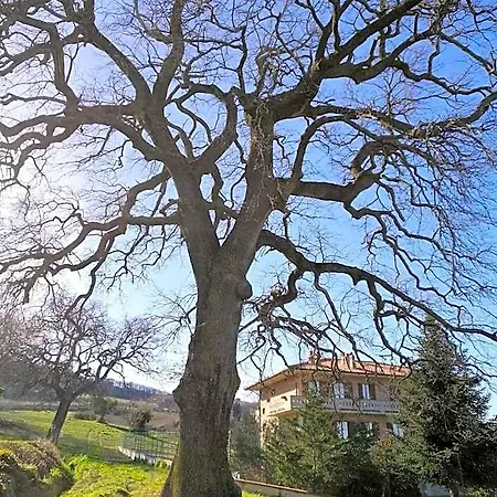 Di Lavanda Bed & Breakfast Cingoli
