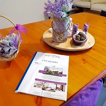 Di Lavanda Cingoli
