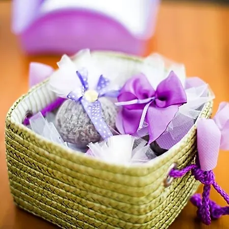 Di Lavanda Cingoli