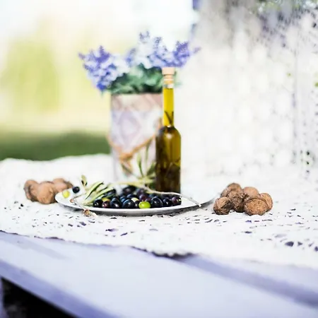 Frühstückspension Di Lavanda Cingoli