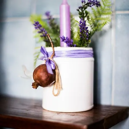 Di Lavanda Cingoli