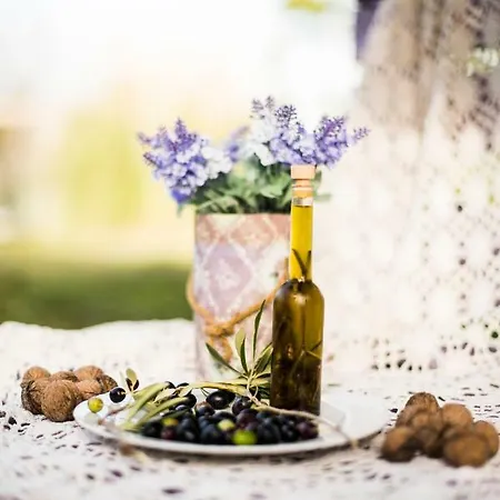 Di Lavanda Bed & Breakfast Cingoli