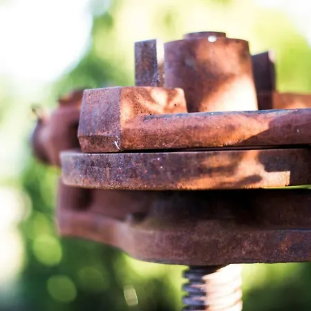 Di Lavanda 3* Cingoli