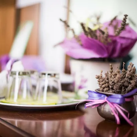 Di Lavanda Panzió Cingoli