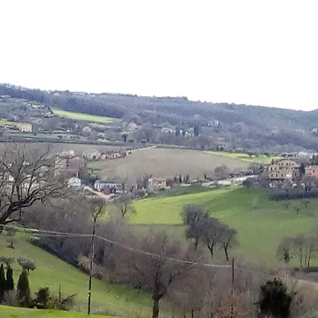 Di Lavanda Cingoli