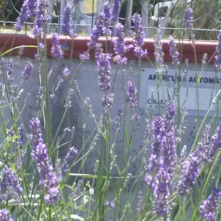 Panzió Di Lavanda
