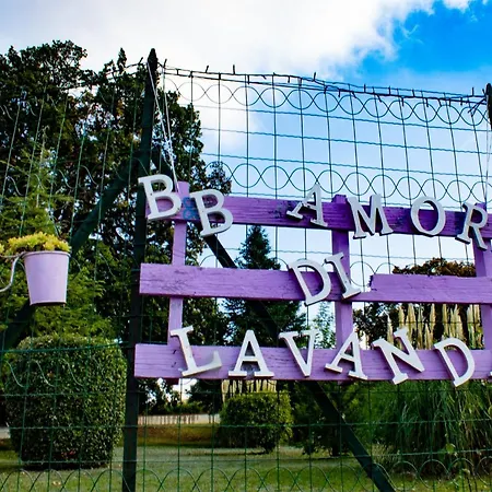 Di Lavanda Cingoli