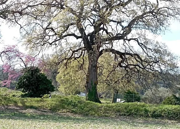 Di Lavanda Bed & Breakfast