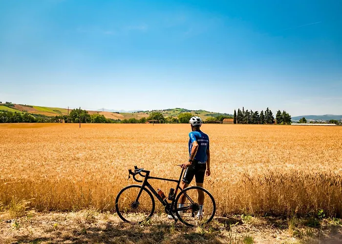 Di Lavanda Bed & Breakfast Cingoli