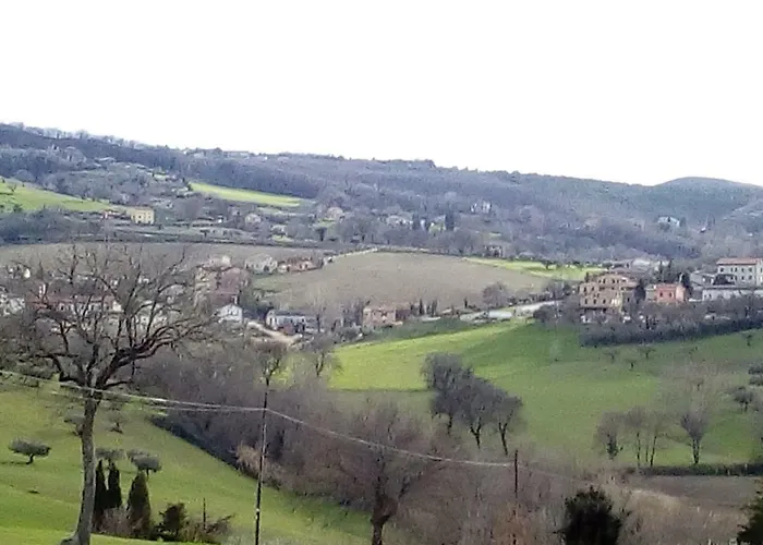 Di Lavanda 钦戈利