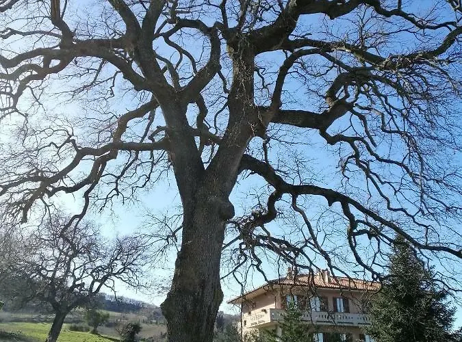 Bed & Breakfast Di Lavanda